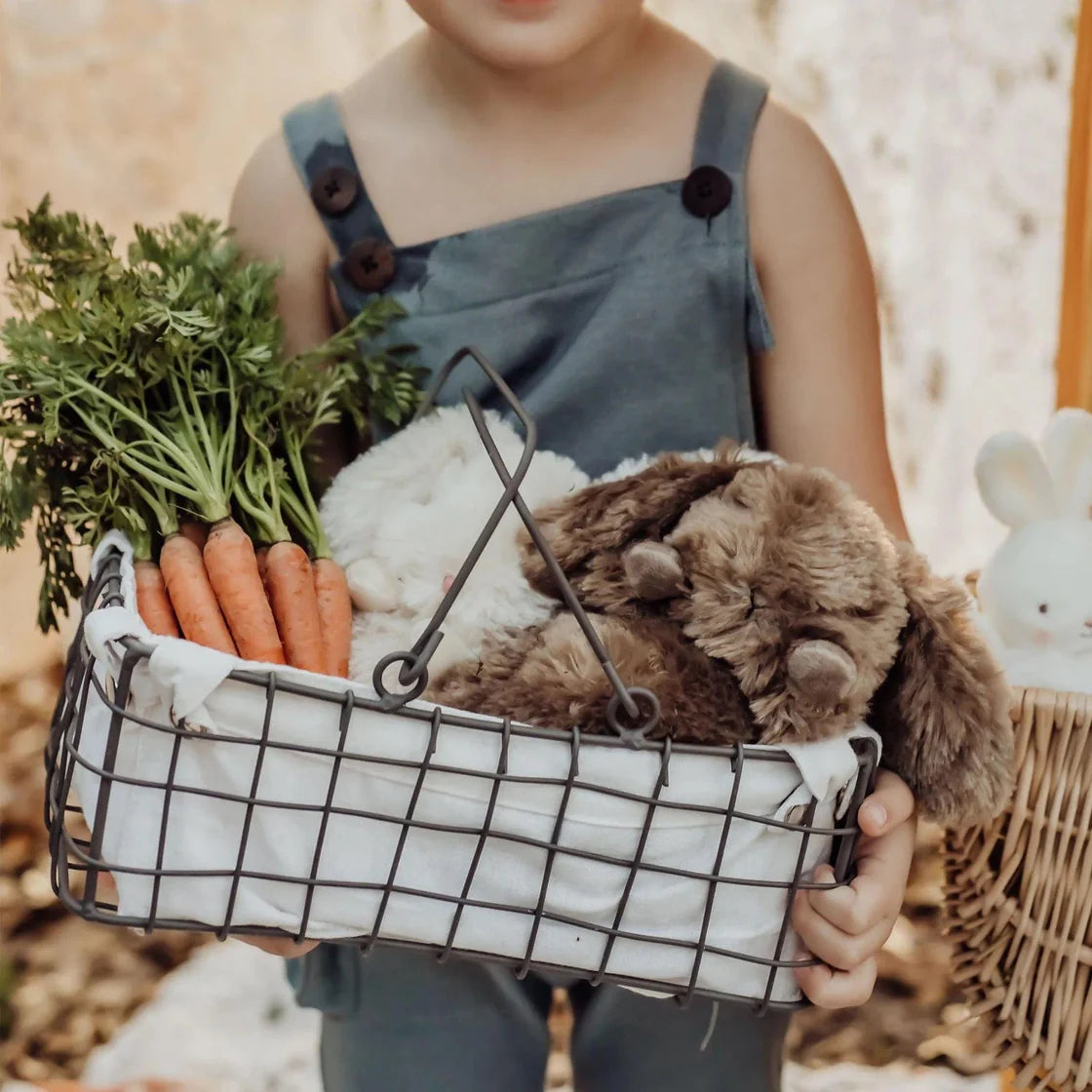 Bunnies by the Bay Stuffy
- Wee Brownie Bunny