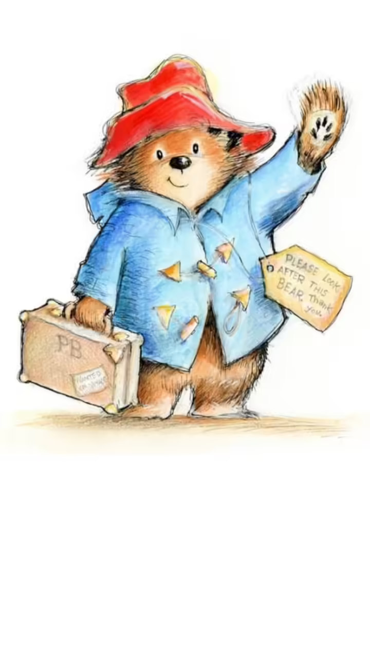 Paddington™ Collection