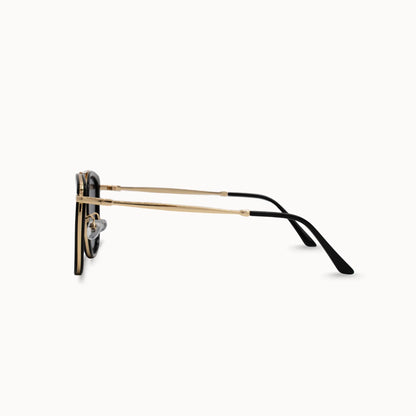 DAX Polarized Sunglasses - Ivy