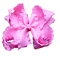 Pink Double Ruffle Hair Bow
