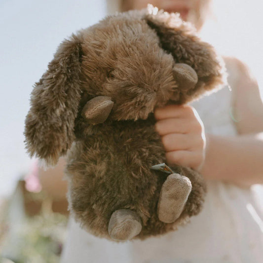 Bunnies by the Bay Stuffy
- Wee Brownie Bunny