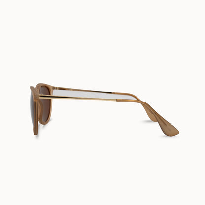 DAX Polarized Sunglasses - Midnight