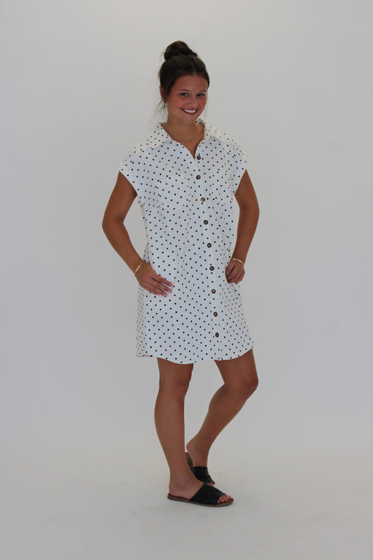 Dotted in Denim Dress