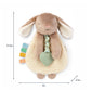 Taupe Bunny Itzy Friends Lovey™ Plush